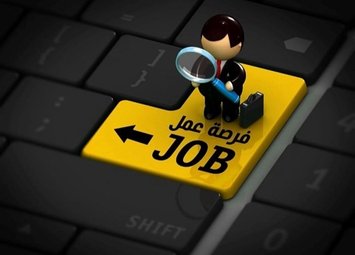 أكثر من 4 آلاف وظيفة شاغرة لدى الحكومة/رابط التقديم