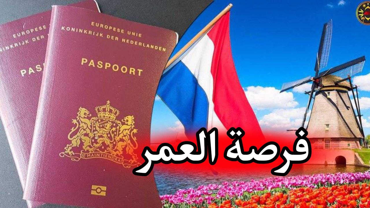 هولندا تقدم تأشيرة جديدة لمدة 5 سنوات للهجرة مع العائلة للعرب