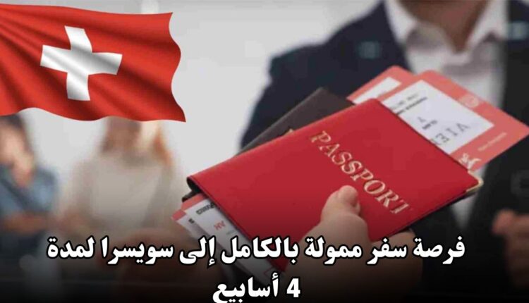 فرصة سفر ممولة بالكامل إلى سويسرا لمدة 4 أسابيع