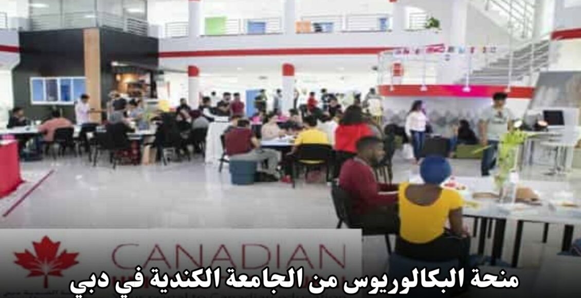 منحة البكالوريوس من الجامعة الكندية في دبي 2025
