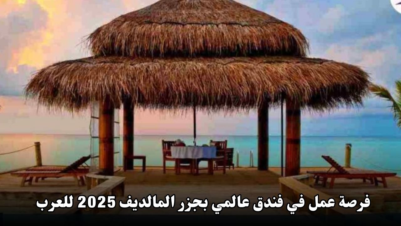 فرصة عمل في فندق عالمي بجزر المالديف 2025 لمتحدثي اللغة العربية