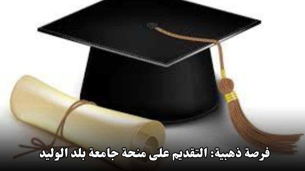 فرصة ذهبية: التقديم على منحة جامعة بلد الوليد لعام 2024