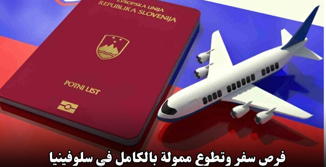 فرص سفر وتطوع ممولة بالكامل في سلوفينيا 2025 | احصل على راتب شهري وإقامة مجانية!