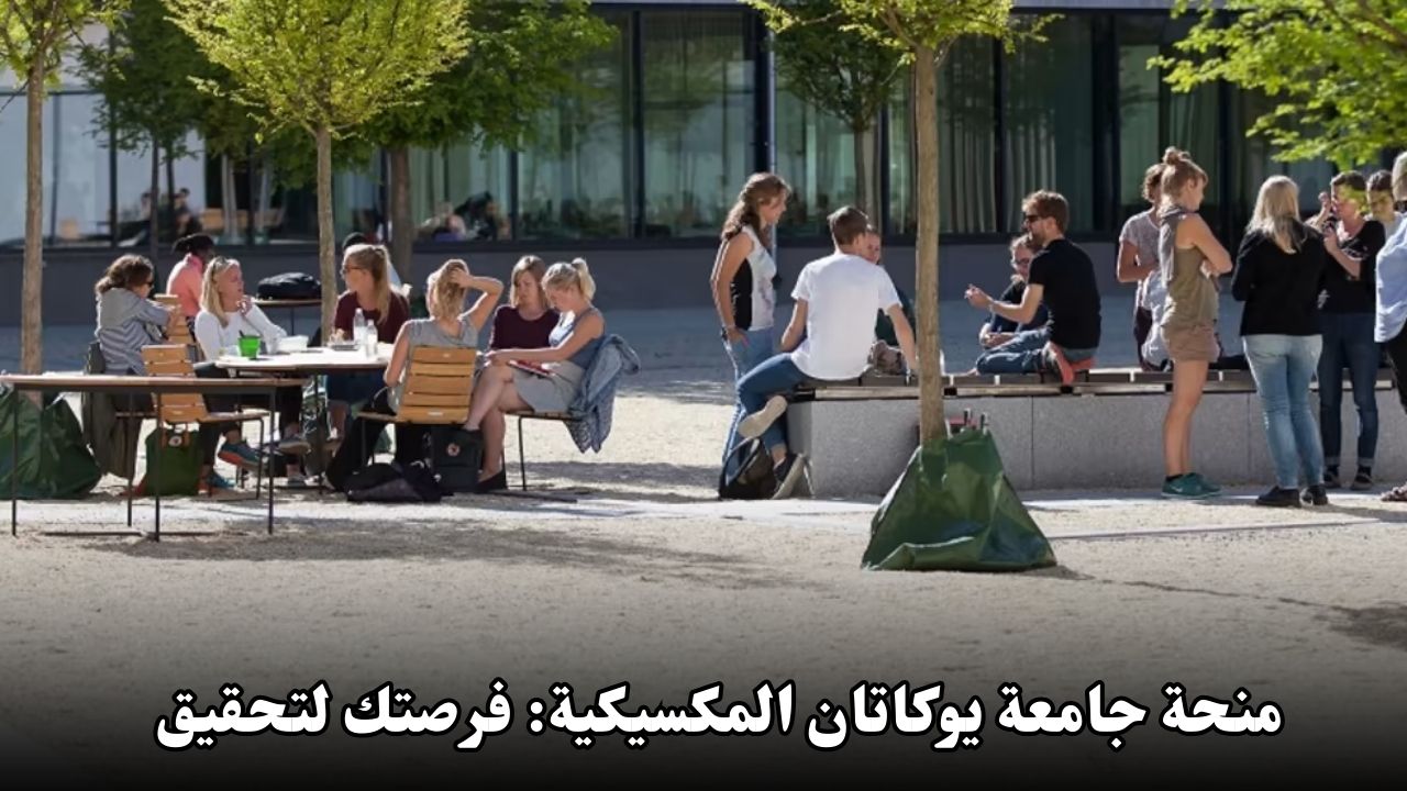 منحة جامعة يوكاتان المكسيكية: فرصتك لتحقيق أحلامك الدراسية