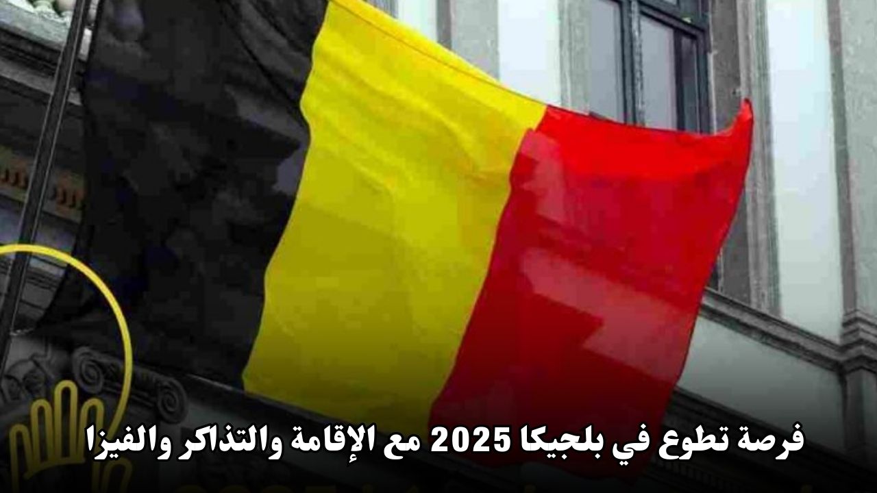 فرصة تطوع في بلجيكا 2025 مع الإقامة والتذاكر وفيزا الشنغن