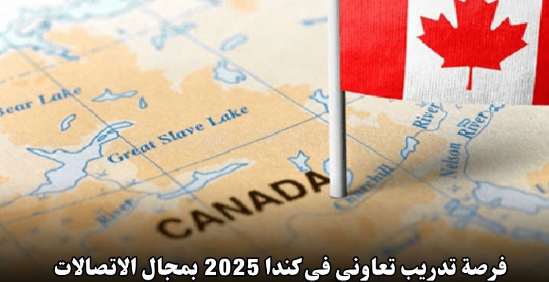 فرصة تدريب تعاوني في كندا 2025 بمجال الاتصالات مع سكوتيابنك – انطلق بمستقبلك المهني