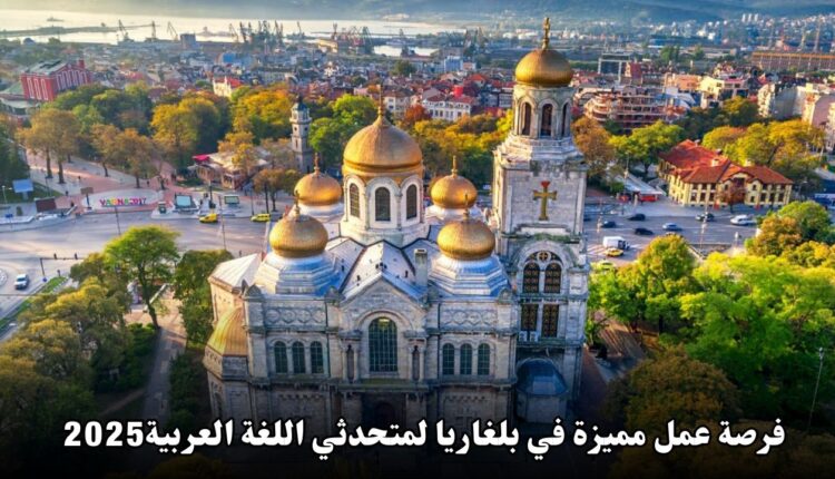 فرصة عمل مميزة في بلغاريا لمتحدثي اللغة العربية: انضم لفريق مبيعات B2B في كونسينتريكس 2025