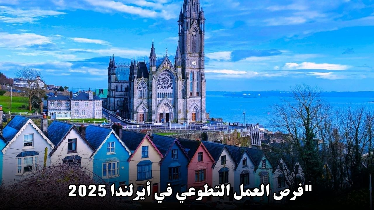 فرص العمل التطوعي في أيرلندا 2025: تجربة فريدة تجمع بين العطاء والمغامرة