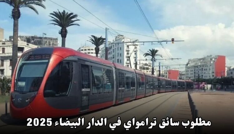 مطلوب سائق ترامواي في الدار البيضاء 2025