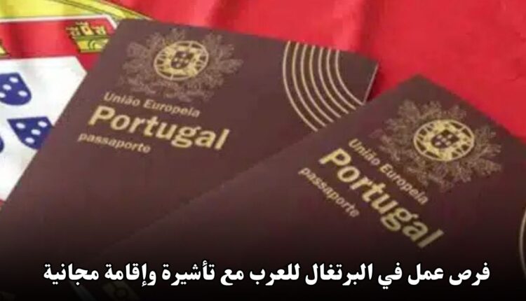 فرص عمل في البرتغال للعرب مع تأشيرة وإقامة مجانية