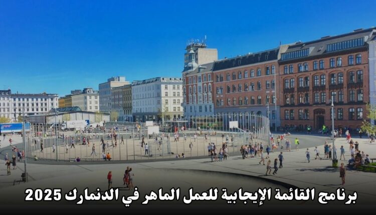 برنامج القائمة الإيجابية للعمل الماهر في الدنمارك 2025