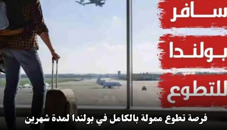 فرصة تطوع ممولة بالكامل في بولندا لمدة شهرين براتب شهري وإقامة مجانية