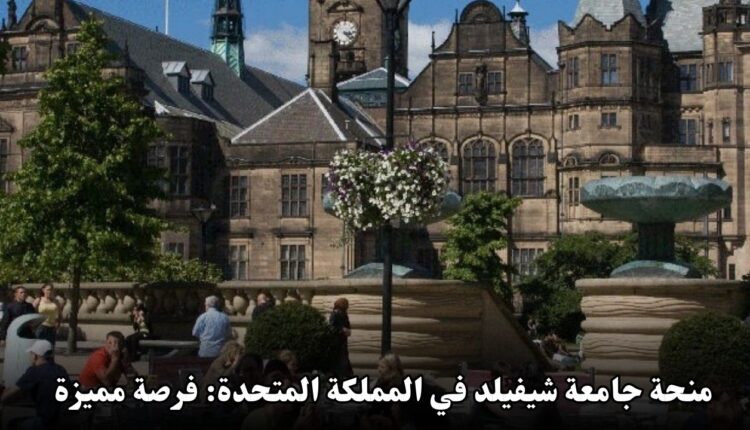 منحة جامعة شيفيلد في المملكة المتحدة: فرصة مميزة للطلاب الدوليين