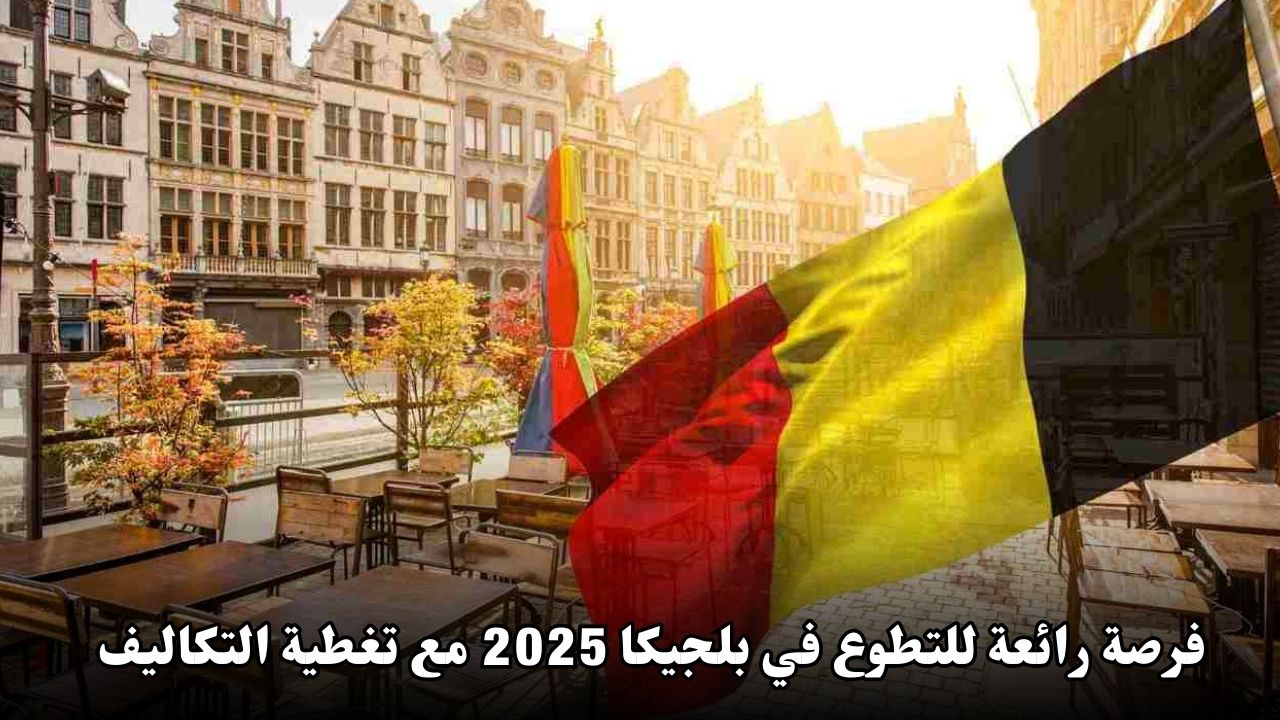فرصة رائعة للتطوع في بلجيكا 2025 مع تغطية تكاليف السفر والإقامة