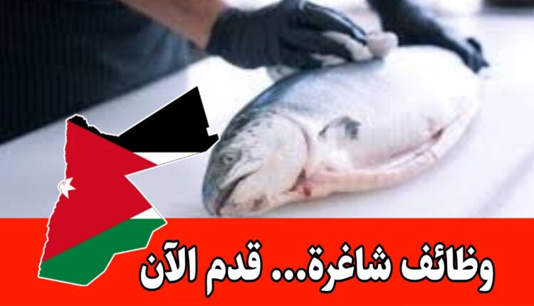 مطلوب موظفين تنظيف أسماك للعمل لدى نجمة الشاطىء براتب مميز وحوافز