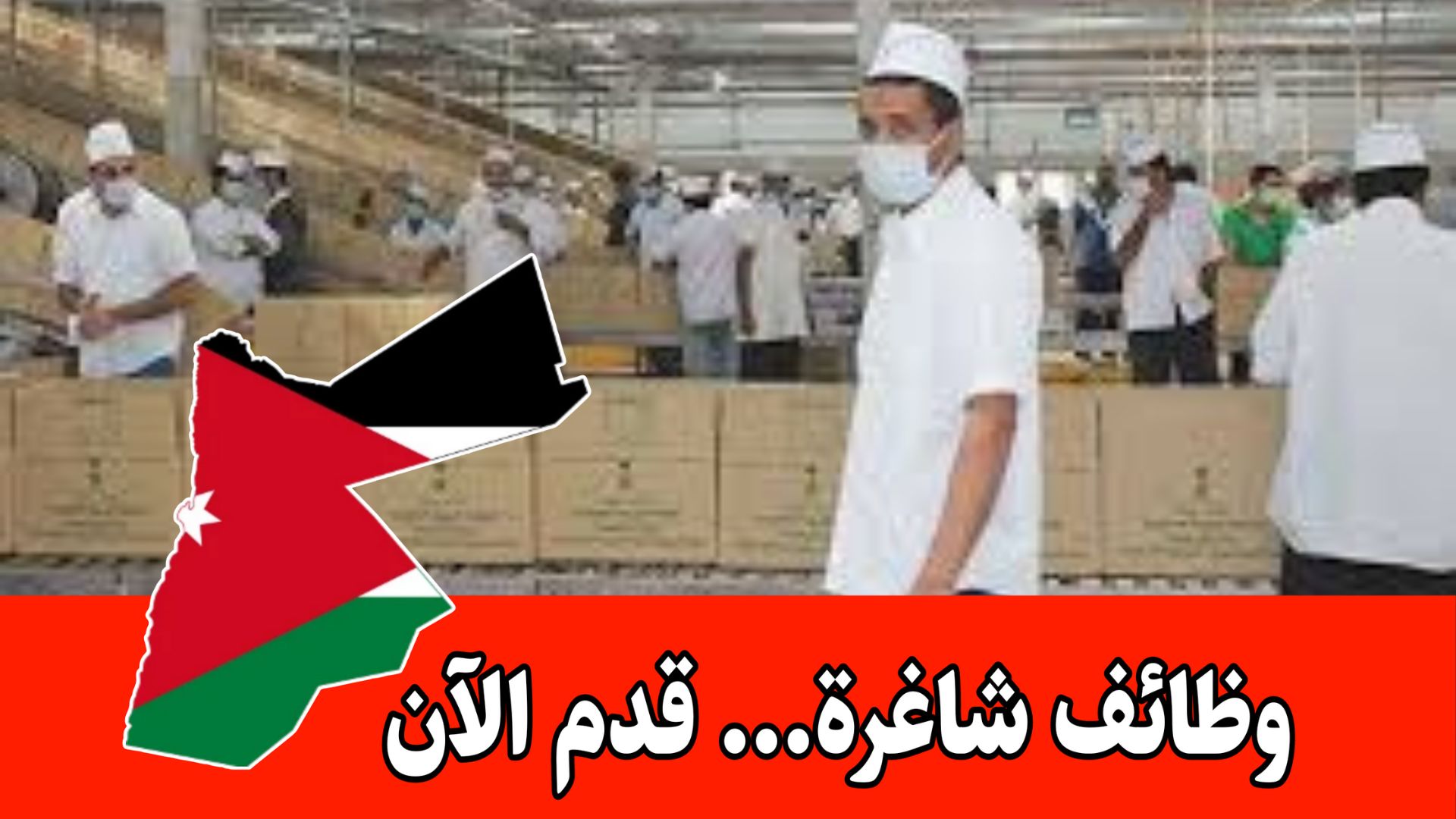 فرص عمل في مجال توزيع الشبس في مناطق شمال المملكة مع مزايا مغرية وراتب جيد