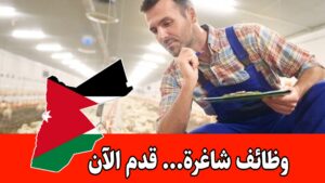 مطلوب مهندس_زراعي / إنتاج حيواني للعمل لدى الشركة المتحدة (يوفيدكو) براتب مميز